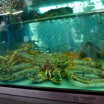 Prawn of the fish market Torget